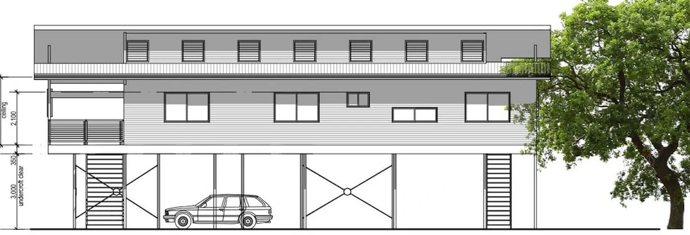 Macleay Drawing 2